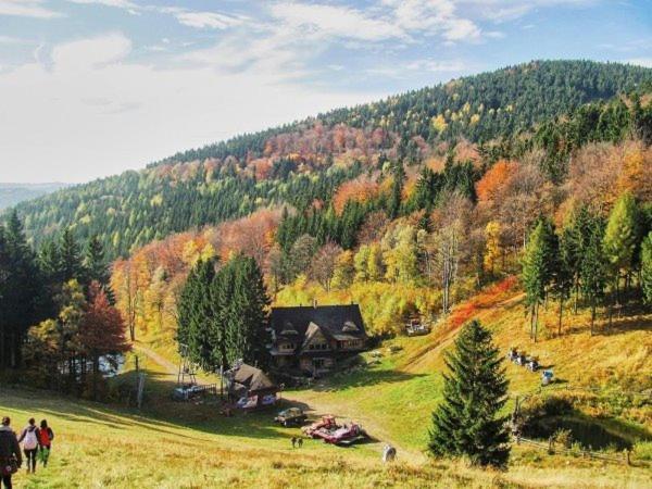 Bukowa Chata Jugów Kültér fotó